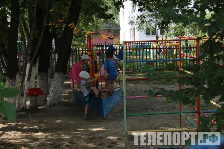 Летний отдых: сколько детей отдохнуло в лагерях Приамурья