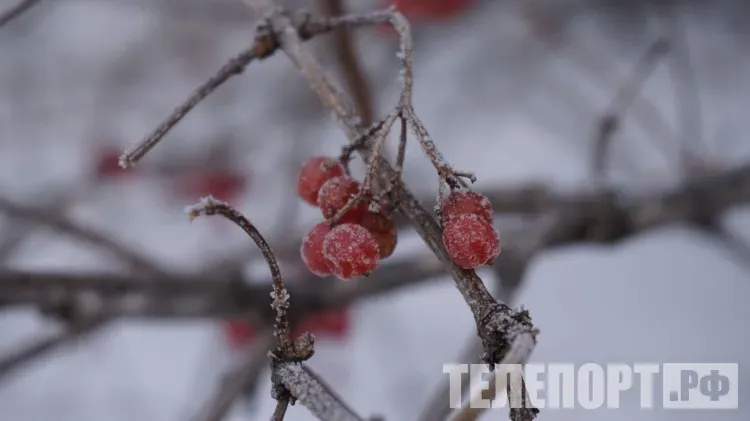 До -35°: арктический воздух захватит Амурскую область