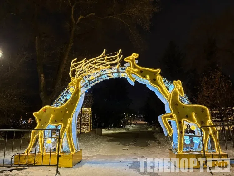 Новогодняя елка красуется на площади Ленина в Благовещенске