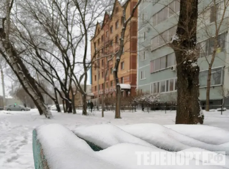 Дневная температура в Амурской области 5 декабря местами понизится до -23°С