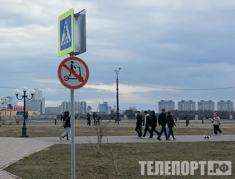 Более 60 новых дорожных знаков появится на дорогах России в 2026 году