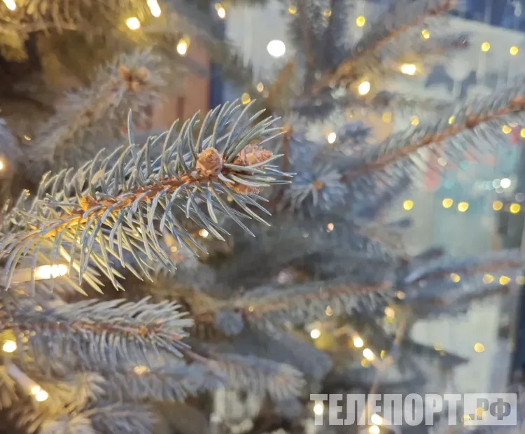 Снегурочки и снеговики в лидерах: как вырос спрос на новогодние костюмы на Дальнем Востоке