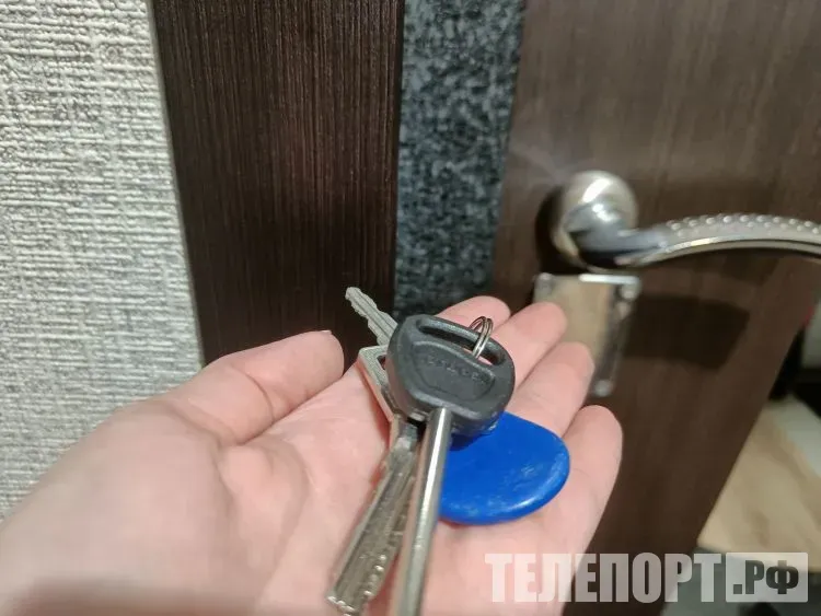 Дело Долиной войдет в обзор практики по оспариванию сделок с недвижимостью