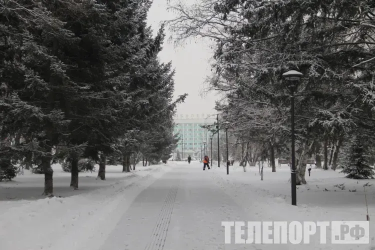 Мороз немного усилится в Приамурье 9 января