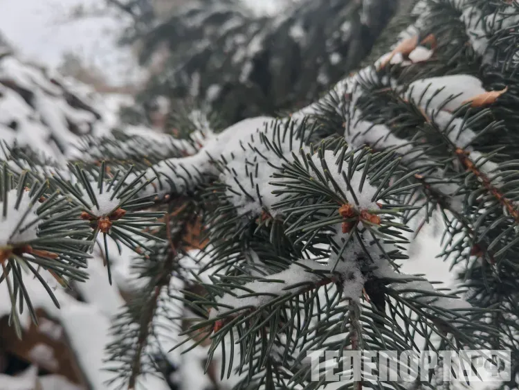 По северу и местами по югу Амурской области 13 января пройдет небольшой снег