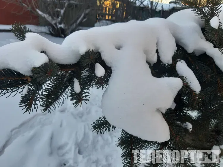 Температура местами в Амурской области 15 января опустится до -28 °С