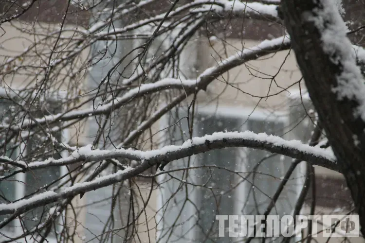 Небольшой снег пройдет в Амурской области 17 января