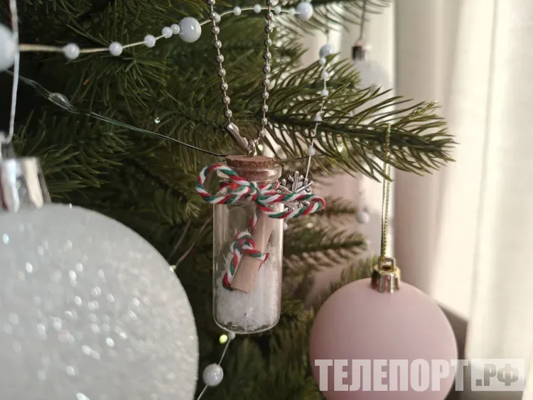 Новогодние каникулы для детей из приютов прошли в амурских семьях