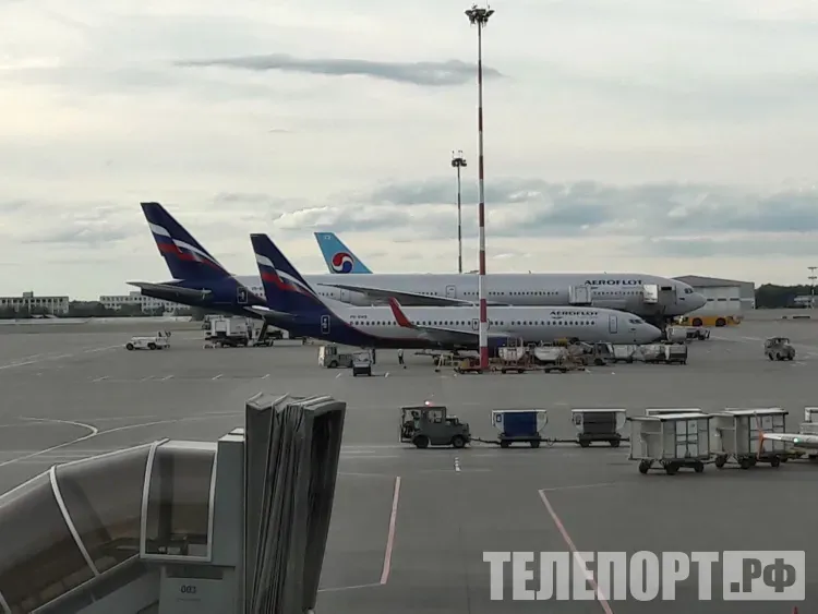 Самолеты расконсервируют в России для пассажирских и грузовых рейсов