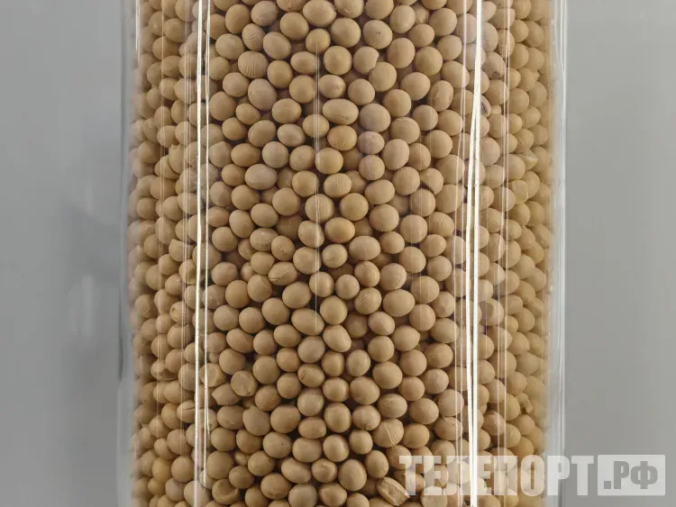 11 стран получили сельскохозяйственную продукцию из Амурской области