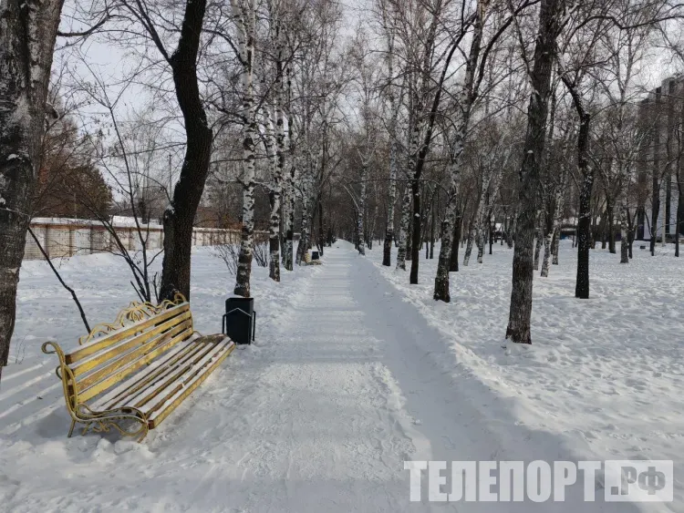 Температуры на текущую неделю удивили синоптиков Приамурья