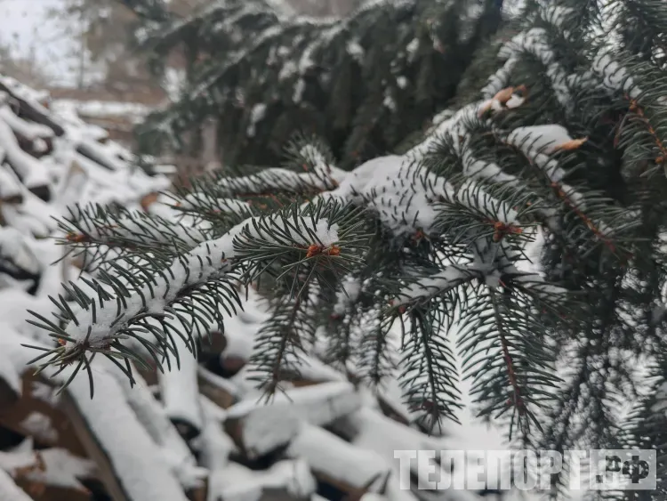Небольшой снег пройдет местами в Амурской области 23 января