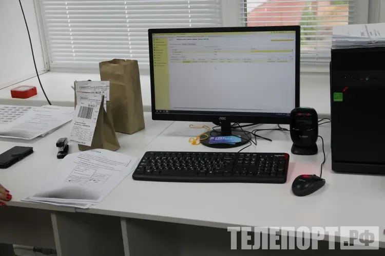 Российский софт на школьных компьютерах: амурские педагоги прошли обучение