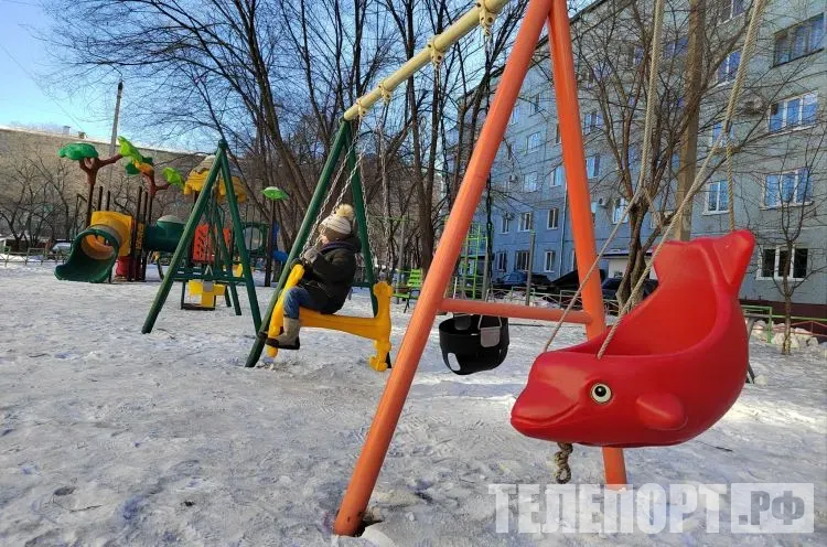 Днем температура местами в Амурской области 24 января составит -27 °С