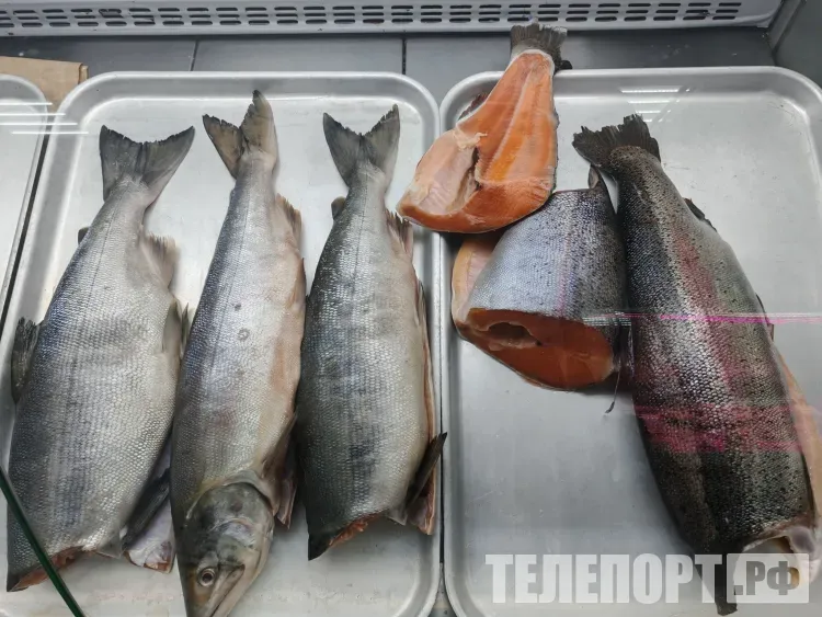 Бум на рыбу из России начался в приграничном Китае