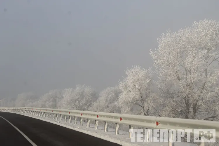 Мороз от - 25 градусов: когда стоит отказаться от прогулок и защититься от холода