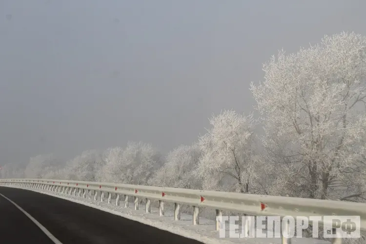 Автомобиль заглох зимой на трассе: советы экспертов