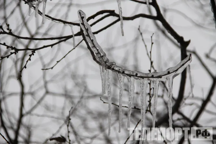 Потепление до -5 градусов спрогнозировали в Амурской области