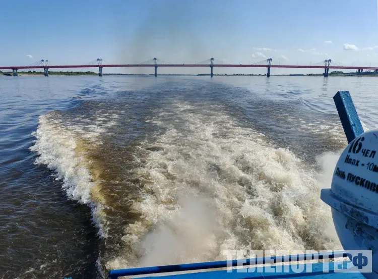 Мост между Китаем и Амурской областью появится в едином учебнике истории