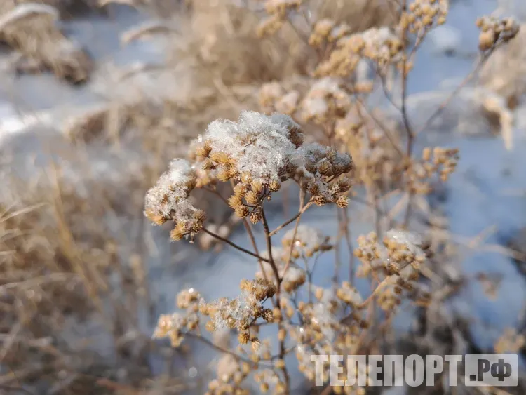 Температура в дневные часы по северу Амурской области 5 февраля составит -31 °С
