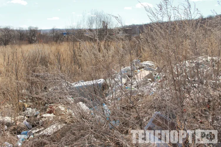 Штраф 40 тысяч за сброс отходов на обочине дороги получил водитель грузовика в Амурской области