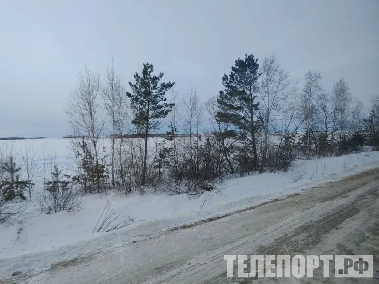 Преимущественно без осадков в Амурской области 7 февраля