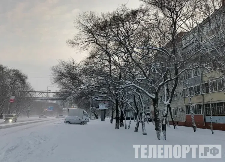 Небольшое потепление ожидается в Приамурье 9 февраля
