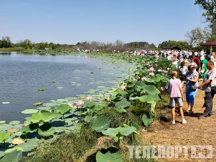 Яркие праздники по инициативе жителей пройдут в Приамурье