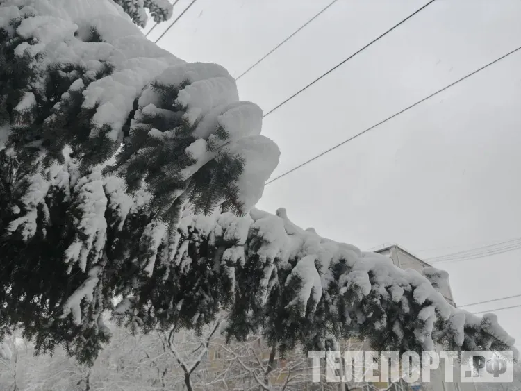 Снег и ветер прогнозируют в Приамурье 15 февраля