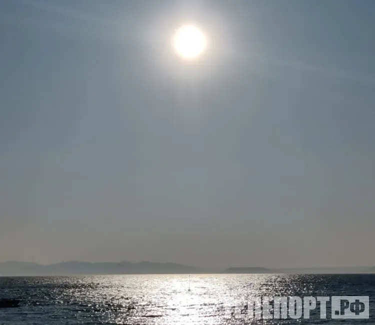 Засуха на юге, наводнения на Дальнем Востоке и волны жары: климатические угрозы в России