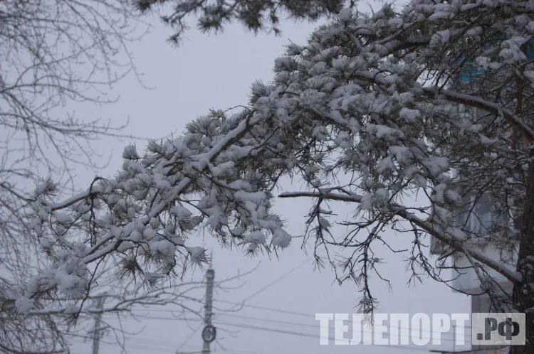 Сильный снег ожидается по северу Приамурья 23 февраля