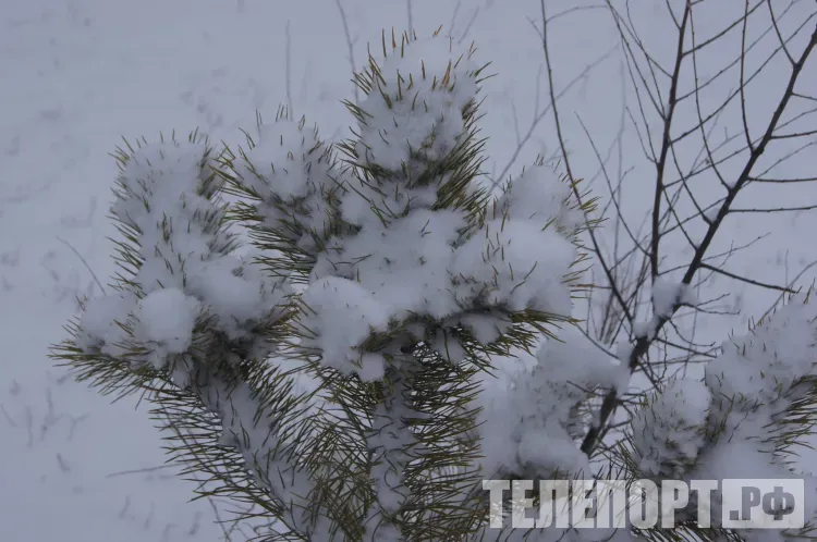 Новый снежный циклон ожидается в Амурской области