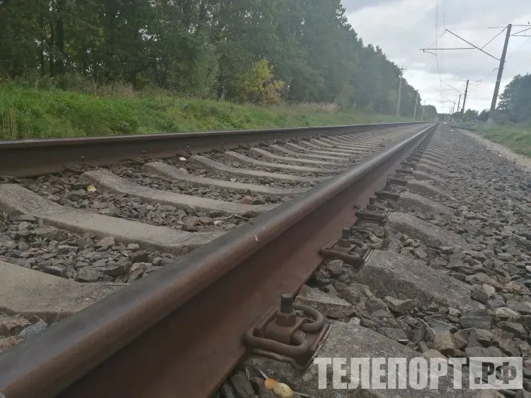 Догонять уехавшие поезда смогут туристы в России