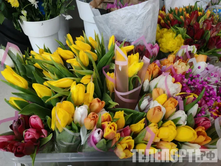 Цветы опять подорожают перед Международным женским днем