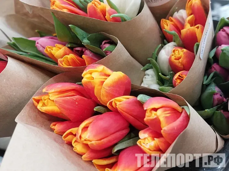 Рейды против нелегальной торговли цветами к 8 Марта пройдут в Белогорске