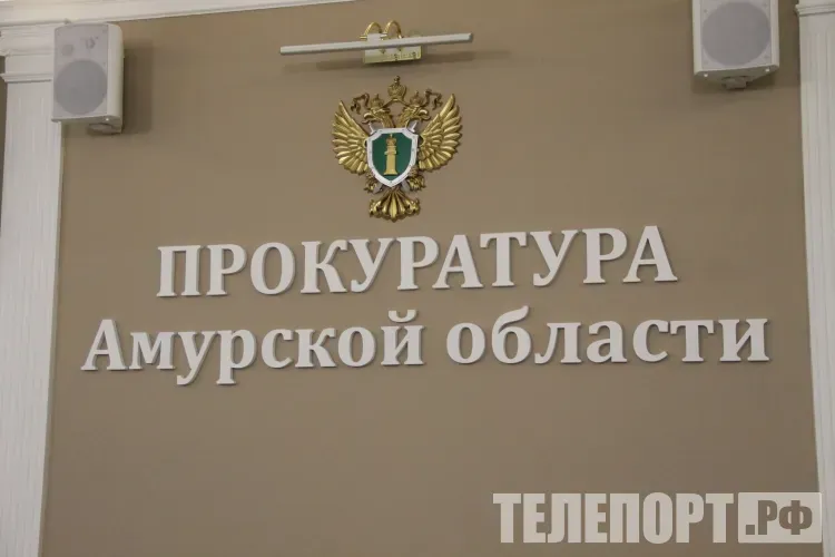 Законопроект прокурора по социализации осужденных одобрили депутаты в Приамурье