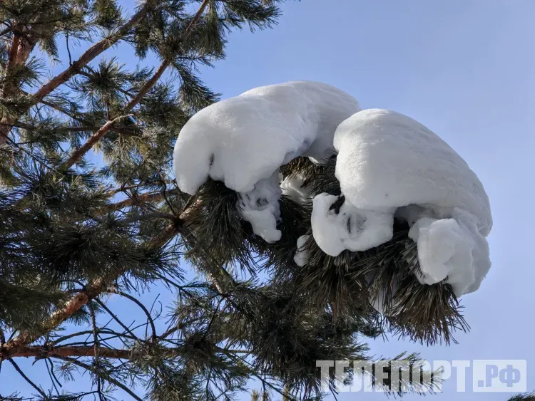 Преимущественно без осадков в Амурской области 7 марта