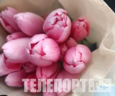 Длинные выходные начались в России