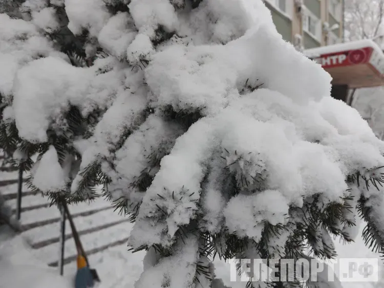 Снег и температура выше нормы: Амурская область встретит мощный циклон