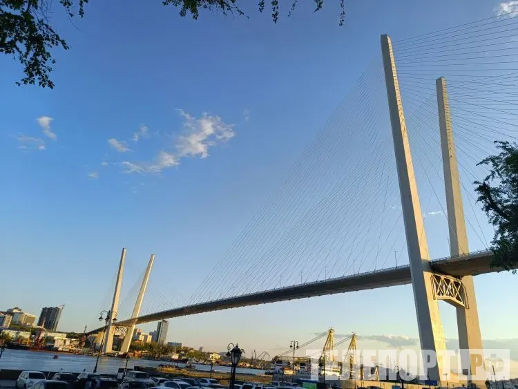 Звезда российского кино Сергей Гармаш снимется в драме на Дальнем Востоке