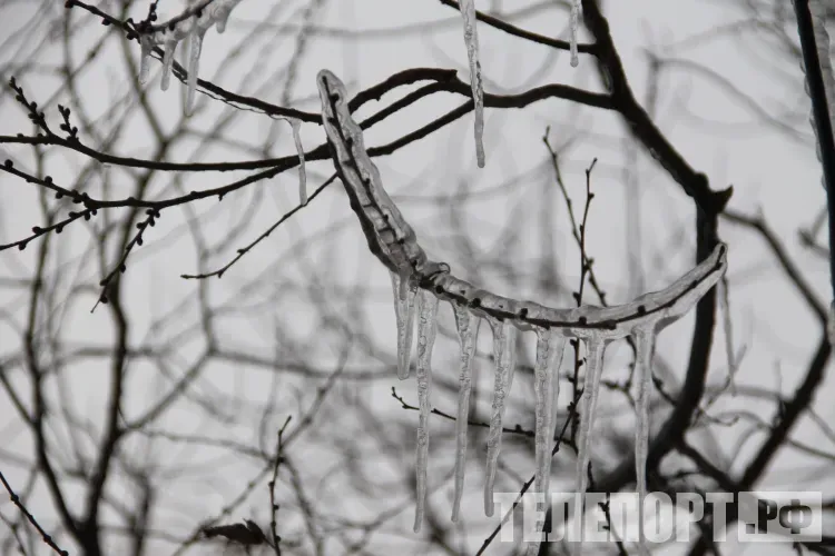 Ветер южных направлений подует с усилением до 13 м/с в Амурской области 12 марта