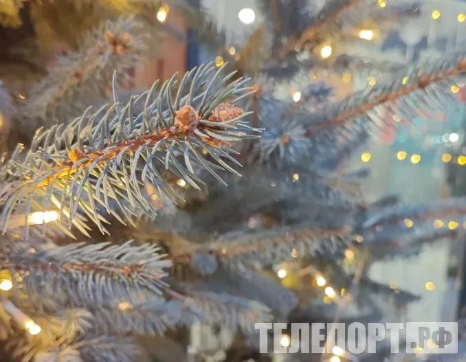 Новогодние каникулы в 2027 году: названы сроки