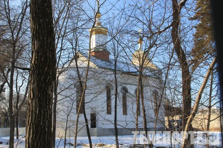 Конон Огородник: чтобы задобрить Конона, необходимо проявить трудолюбие