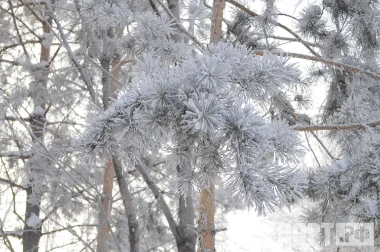 Снег и понижение температуры ожидается в Приамурье