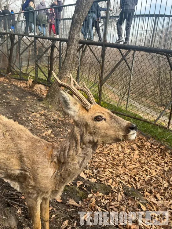 Нарушителей задержали за незаконный проезд в амурском заказнике