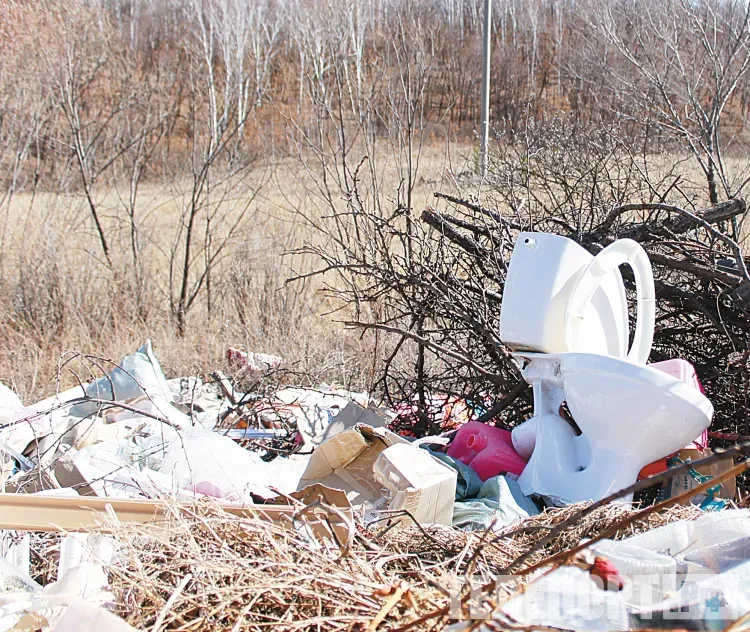 Сотню свалок и 35 построек убрали в Приамурье в преддверии сезона природных пожаров