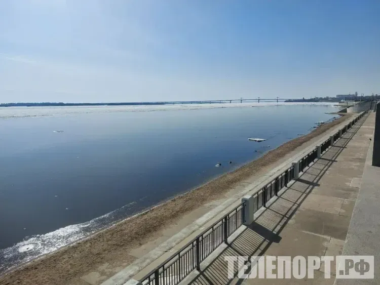 Центр закаливания «Амурозавр» готовится к летнему сезону в Благовещенске