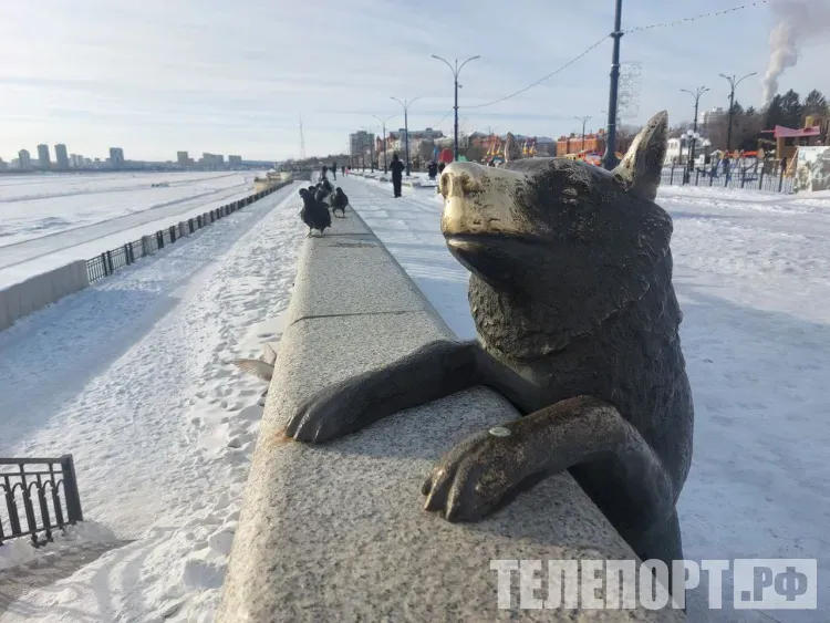 Без существенных осадков днем в Амурской области 21 марта