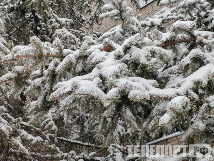 Амурская область столкнется с разными видами снега