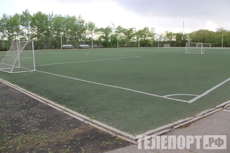 Восемь новых земских тренеров ждут в Амурской области